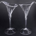 Calla Lily Lilies Flutes Champagne Glasses